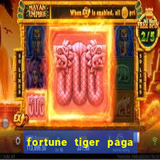 fortune tiger paga de madrugada